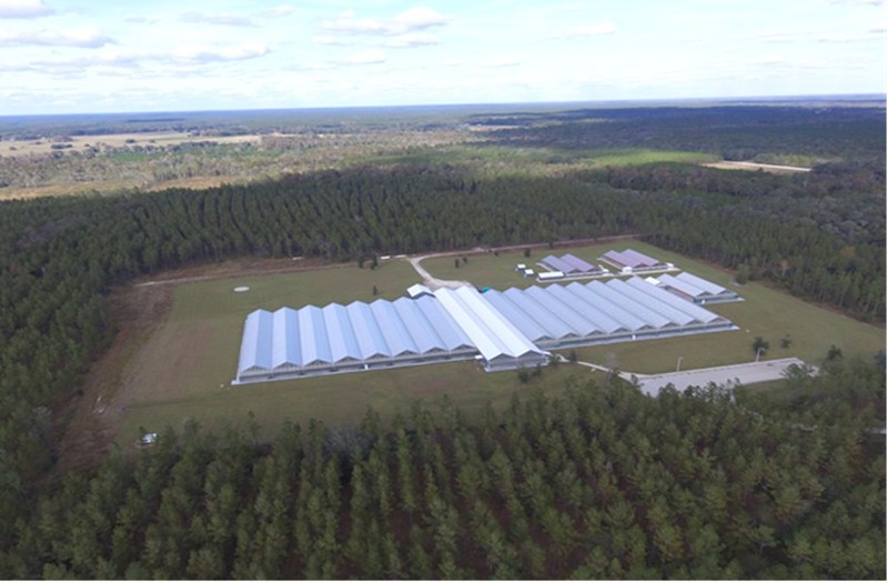 Liberty Health Sciences announces definitive agreement for the acquisition of 387-acres of land in Gainesville, Florida
